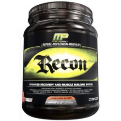 Recon 1200g Fruit Punch