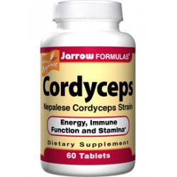 Cordyceps 60t