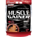Muscle Gainer 8.8lb-Chocolate