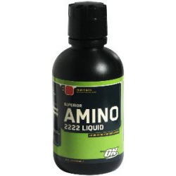 Liquid Amino 2222 16oz-Punch
